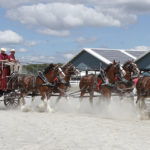 mckeown_barrie_2019_0209