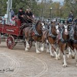 Rockton 2023 D2A_0712